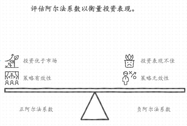 阿尔法系数是什么意思