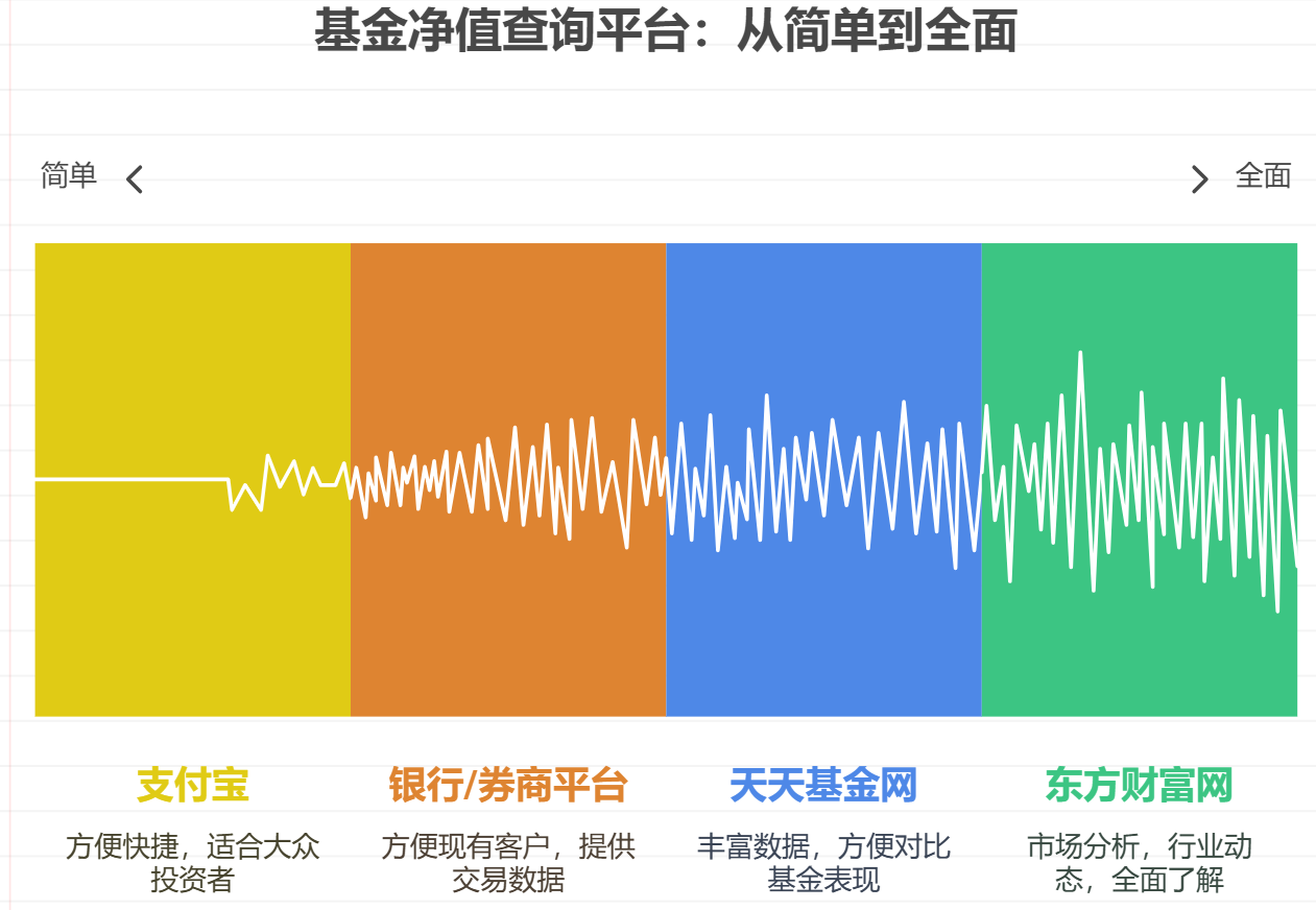 咋查看基金净值呀？除了官网，还有哪些地方能看呢？