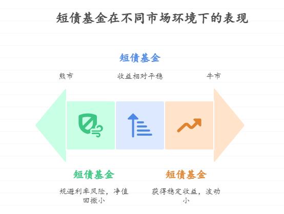新手经历过债市波动,不同市场环境下短债基金表现有差异吗?比如牛市利率下行时,怎么选适应力强的好产品,收益更稳?