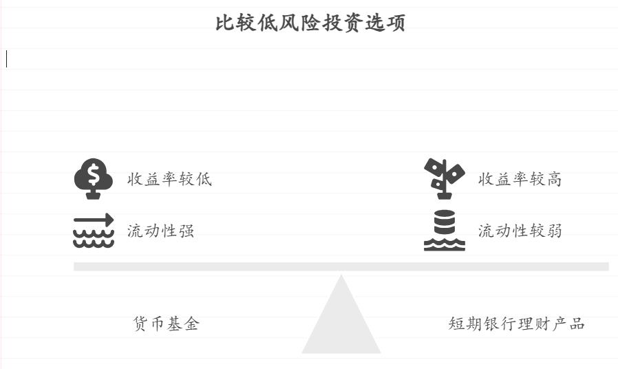 作为家庭经济支柱，手头有一笔5万元的闲置资金，既想留着应对突发支出又想赚取比活期高的收益，有哪些低风险稳健的理财产品能满足这种兼顾需求？