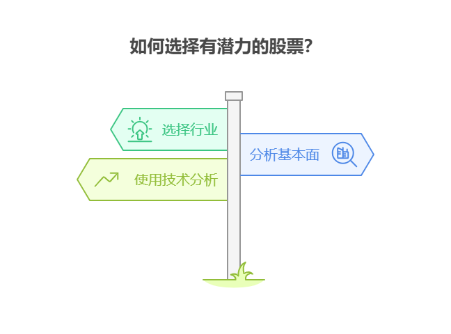 在股票投资中,如何能够买了就能涨的股票