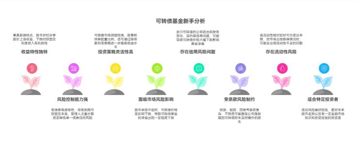 刚开始投资的新手，可转债基金作为稳健高收益品种咋样？