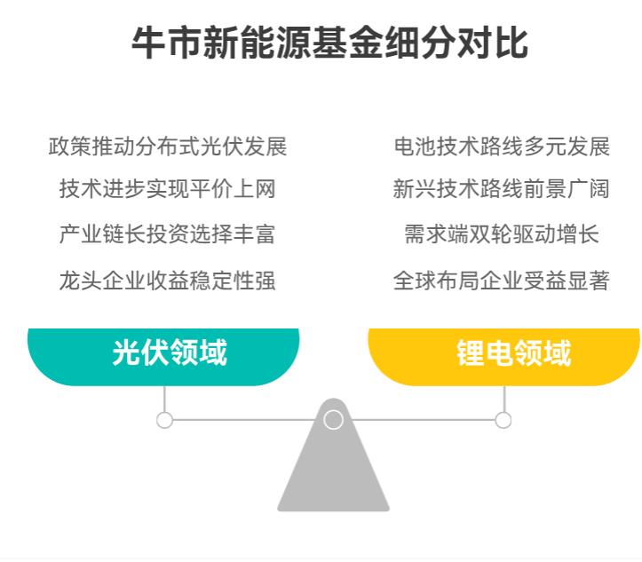 现在处于牛市，新能源基金定投该侧重光伏、锂电还是其他细分领域？