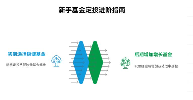 新手选基金定投，是选涨得猛的好，还是看着稳一点的更靠谱啊？