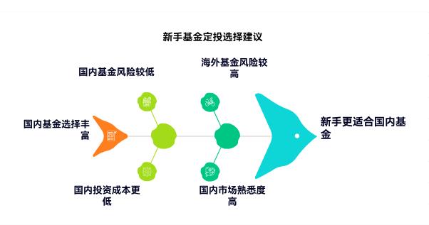 我是理财小白,想定投海外市场的基金,和定投国内基金比风险是不是更大,新手适合先投哪种?