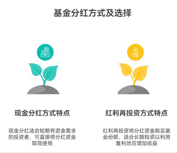 基金分红到底是啥意思啊？小白拿到分红，是直接取出来花，还是再投进去更划算？