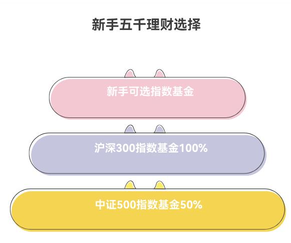新手学理财，手里有5000块闲钱，先投沪深300还是中证500啊？