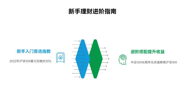 新手学理财,沪深300和中证500,新手先从哪个入手更合适啊?