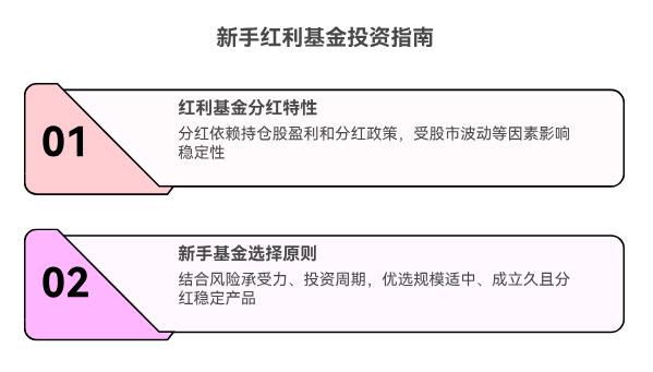 新手2025下半年买红利基金，能稳定分红吗？有推荐吗？