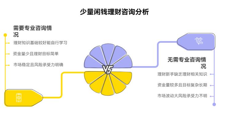 就一点点闲钱，学理财要找专业人士咨询吗？咨询得花钱不？