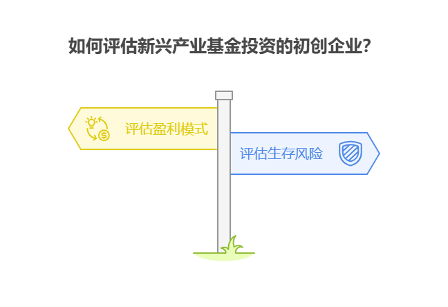 新兴产业基金多投资初创型企业,新手该如何评估这些企业的盈利模式和生存风险?