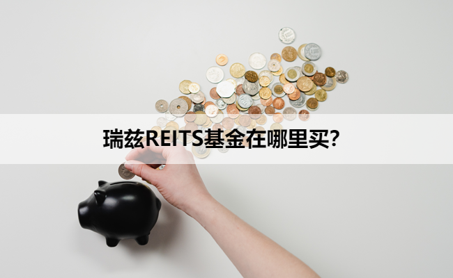 瑞兹REITS基金在哪里买？