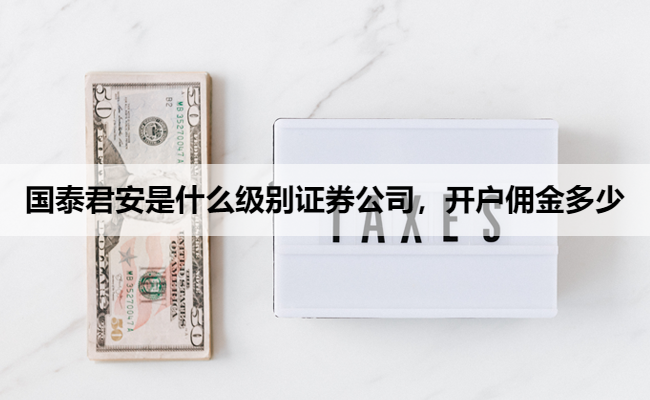国泰君安是什么级别证券公司，开户佣金多少