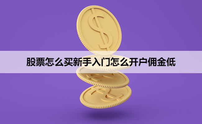 股票怎么买新手入门怎么开户佣金低