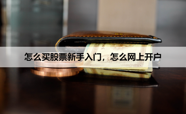 怎么买股票新手入门，怎么网上开户