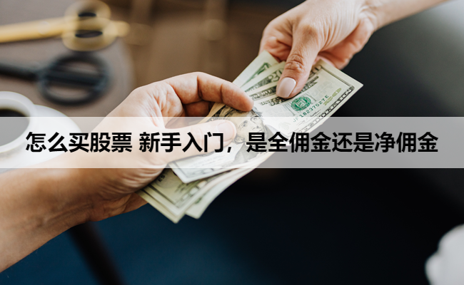 怎么买股票 新手入门,是全佣金还是净佣金