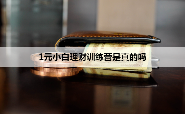 1元小白理财训练营是真的吗