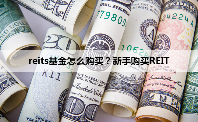 reits基金怎么购买？新手购买REIT