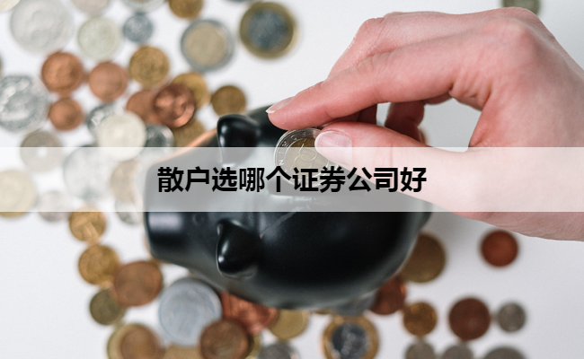 散户选哪个证券公司好