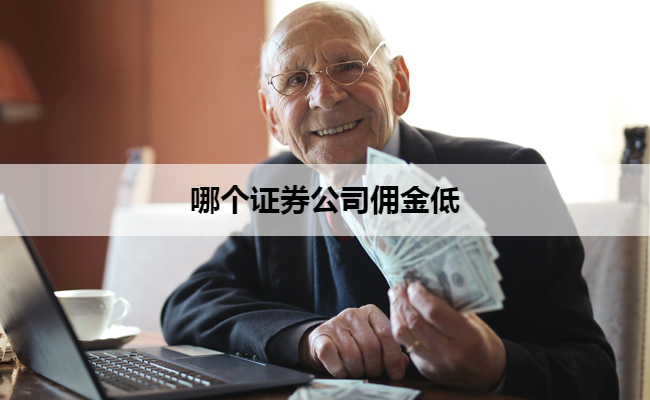 哪个证券公司佣金低