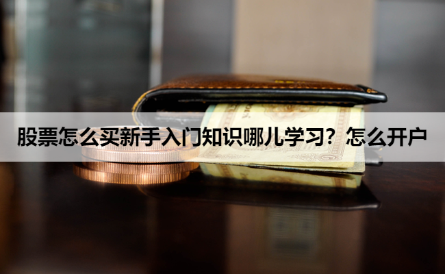 股票怎么买新手入门知识哪儿学习？怎么开户