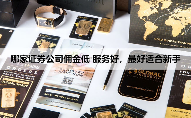 哪家证券公司佣金低 服务好，最好适合新手