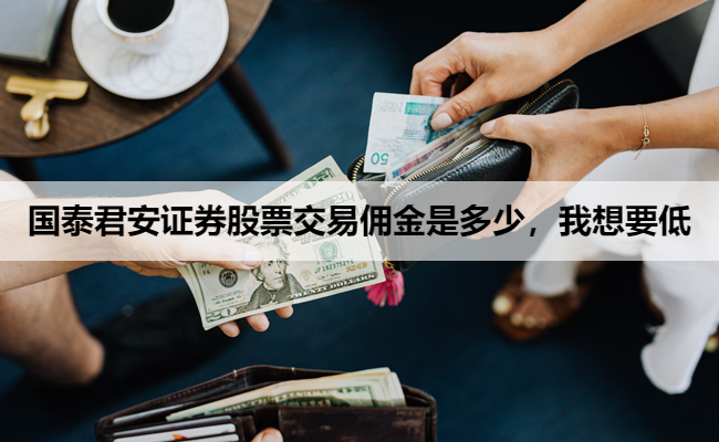 国泰君安证券股票交易佣金是多少,我想要低