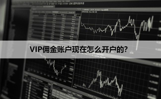 VIP佣金账户现在怎么开户的？