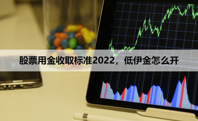 股票用金收取标准2022，低伊金怎么开