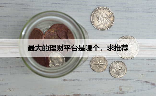 最大的理财平台是哪个,求推荐