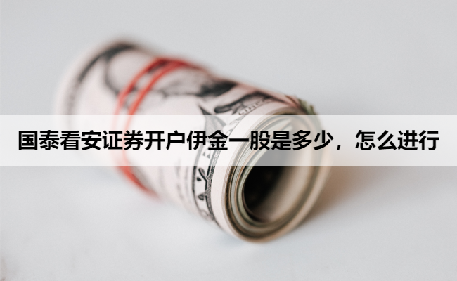 国泰看安证券开户伊金一股是多少，怎么进行