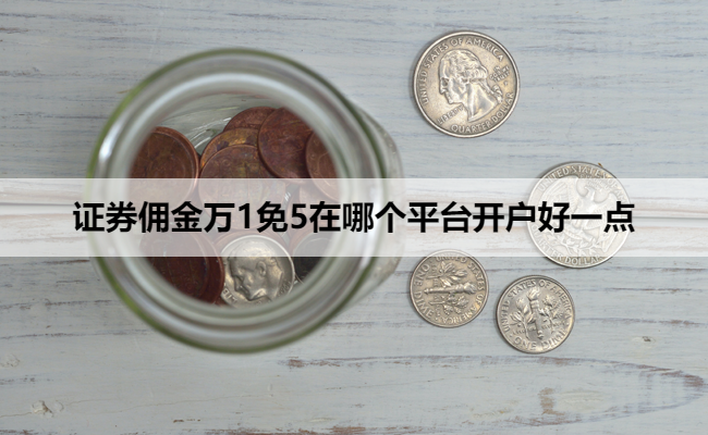 证券佣金万1免5在哪个平台开户好一点