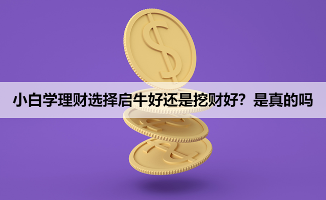 小白学理财选择启牛好还是挖财好?是真的吗