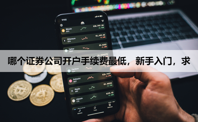 哪个证券公司开户手续费最低,新手入门,求