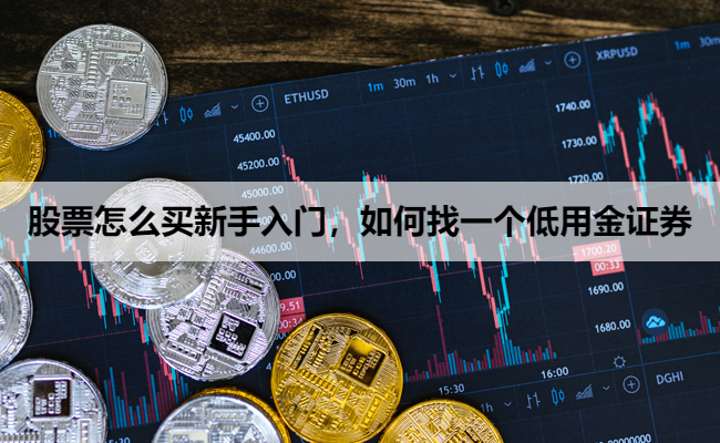 股票怎么买新手入门,如何找一个低用金证券