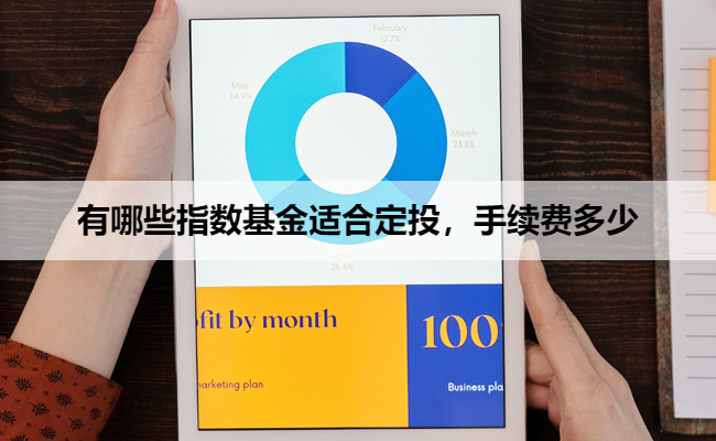 有哪些指数基金适合定投，手续费多少