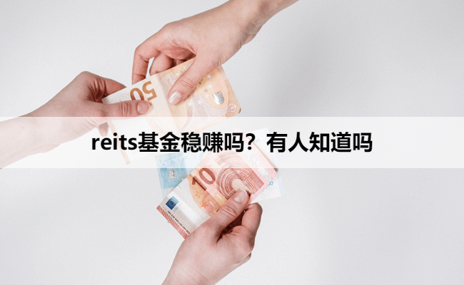 reits基金稳赚吗？有人知道吗