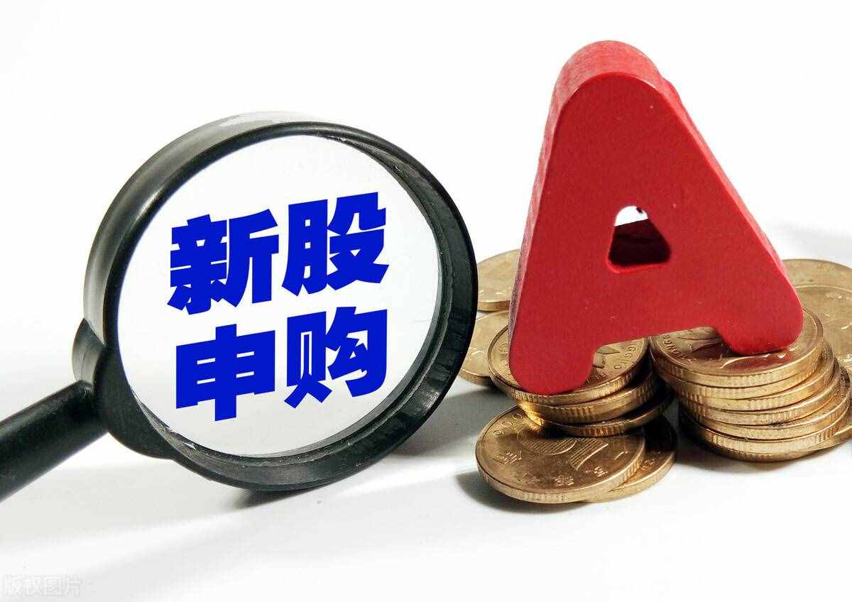 新手是在怎么样在手机上申购新股的，看这一篇就够了