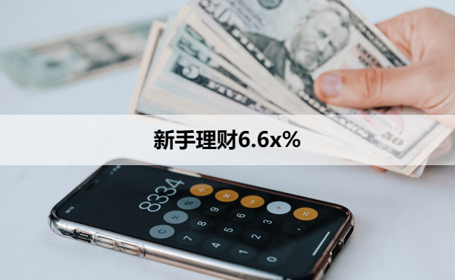 新手理财6.6x%