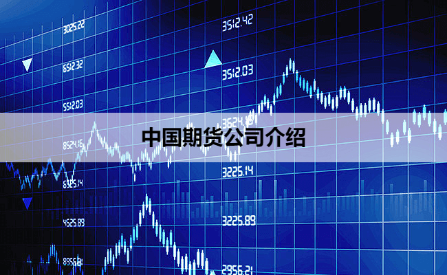 中国期货公司介绍