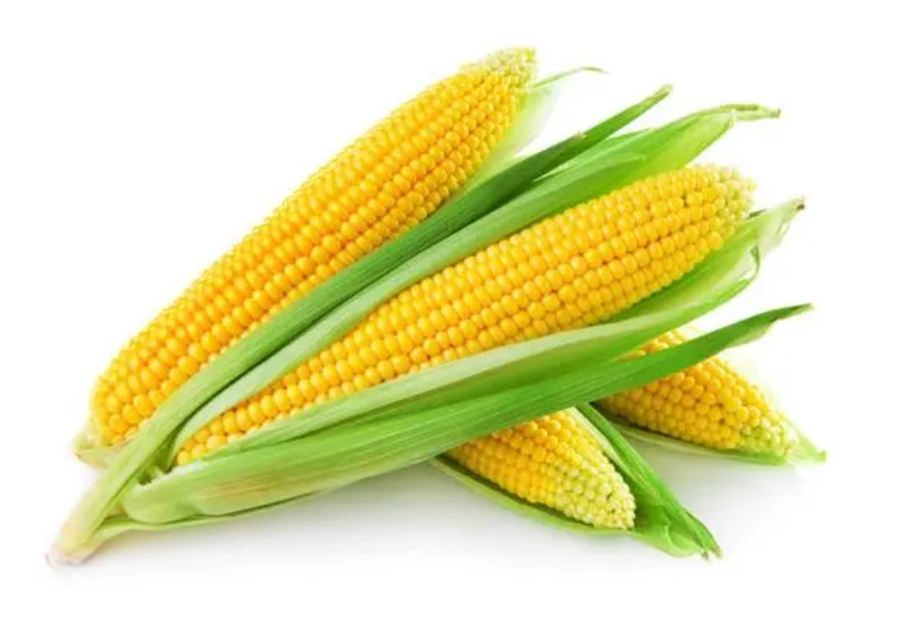 hh