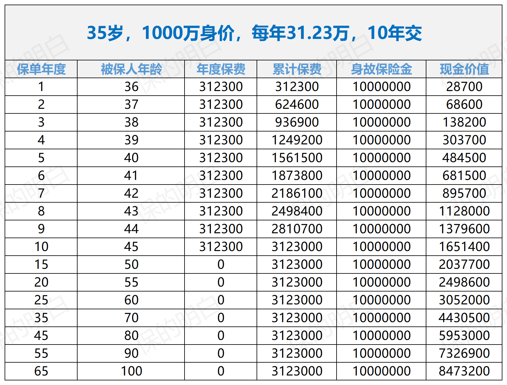 1000万身价方案