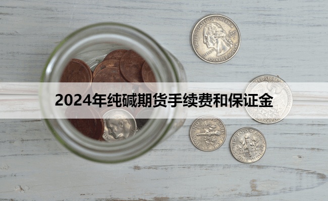 2024年纯碱期货手续费和保证金