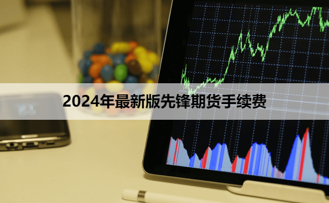 2024年最新版先锋期货手续费