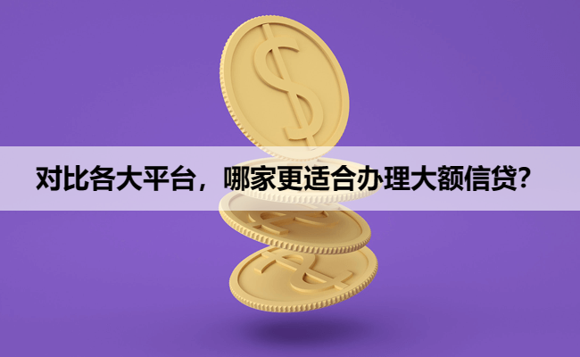 对比各大平台，哪家更适合办理大额信贷？