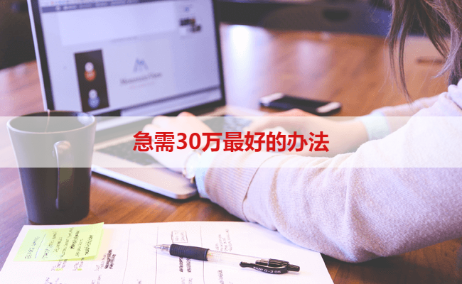 急需30万最好的办法