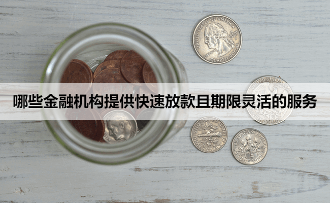 哪些金融机构提供快速放款且期限灵活的服务