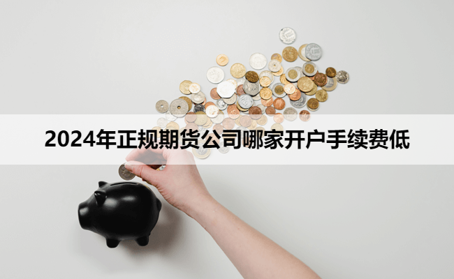 2024年正规期货公司哪家开户手续费低