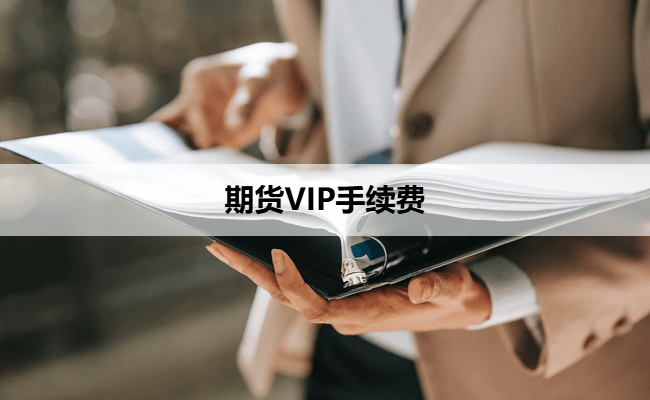 期货VIP手续费