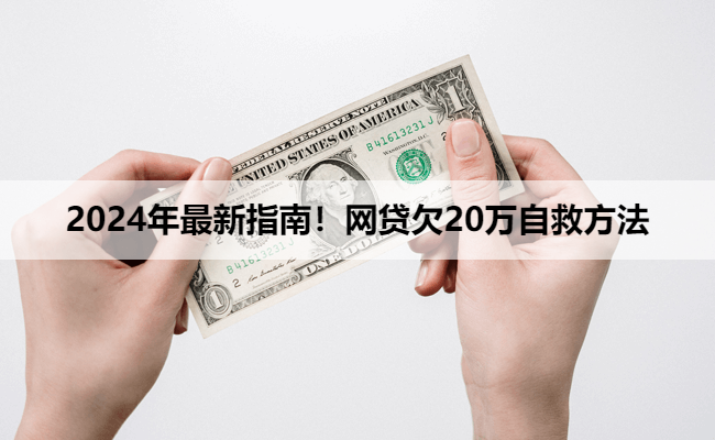 2024年最新指南！网贷欠20万自救方法